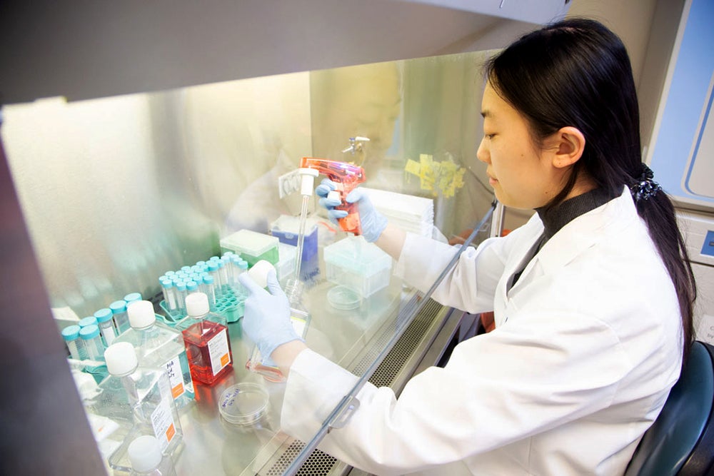 A woman works under a vent hood in a lab