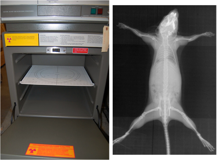 X-ray machine and x-ray output