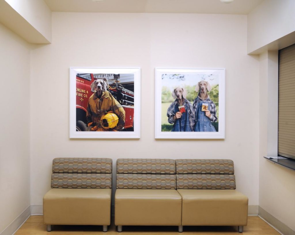 William Wegman's Weimaraner portraits in Lombardi's atrium