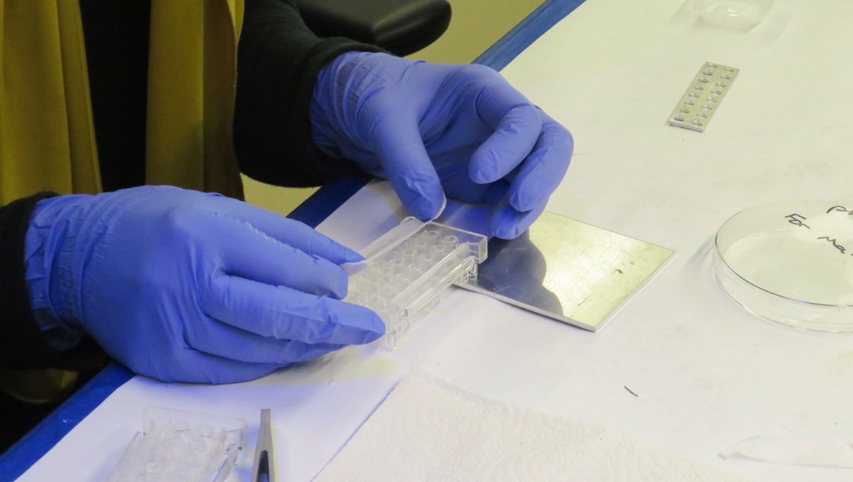 A person's gloved hands work with lab materials
