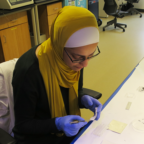 Ghada Sharif at work in the lab