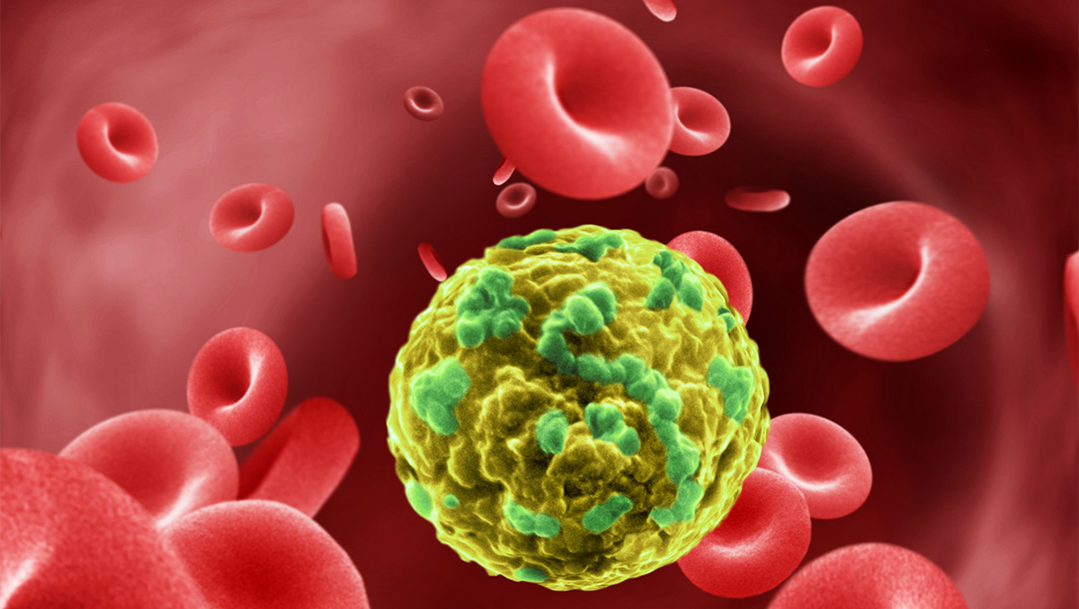 illustration of a cancer cell migrating through a blood vessel filled with red blood cells