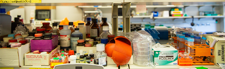 Shelves in a lab filled with items for lab use