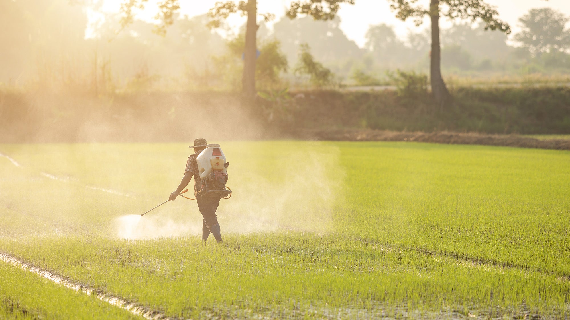 A man sprays a field with a chemical