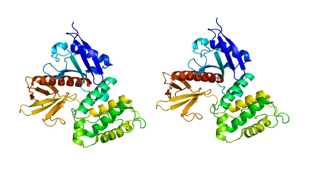 A twisted protein is depicted in colors