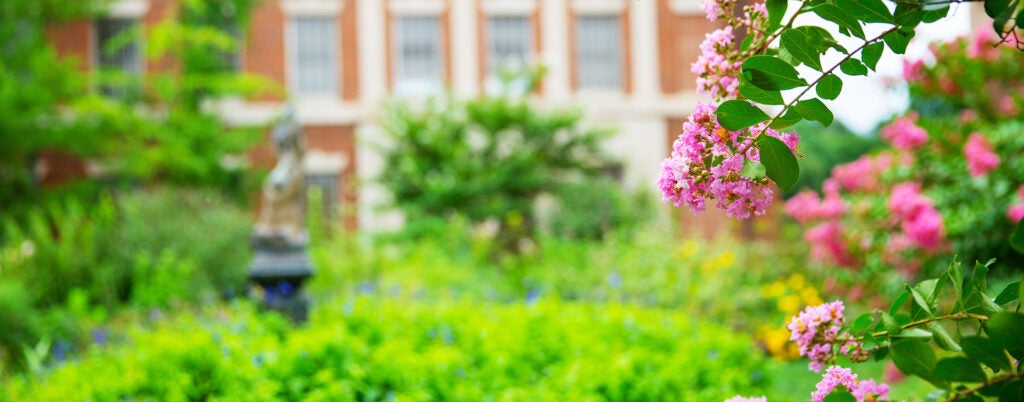 Flowers and greenery frame a view of the Med-Dent Building on campus